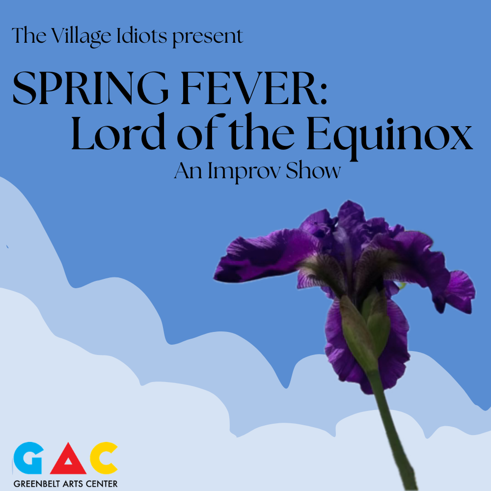 Village Idiots Improv